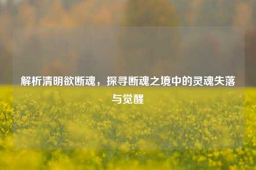 解析清明欲断魂,探寻断魂之境中的灵魂失落与觉醒