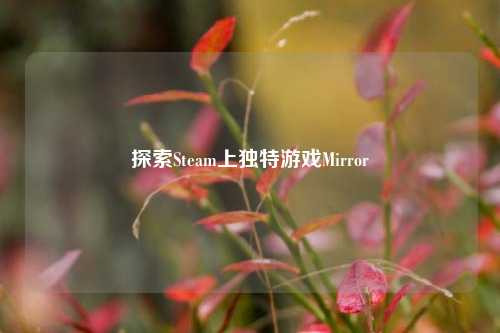 探索Steam上独特游戏Mirror