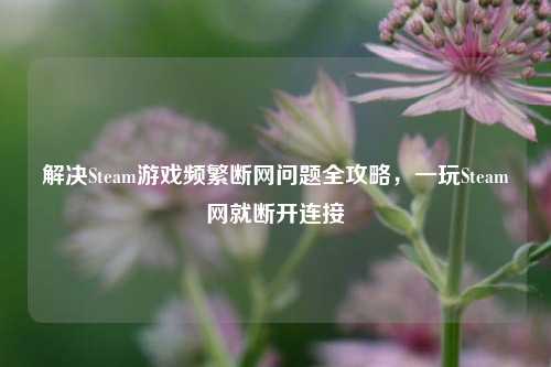 解决Steam游戏频繁断网问题全攻略,一玩Steam网就断开连接