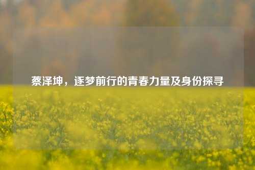 蔡泽坤,逐梦前行的青春力量及身份探寻