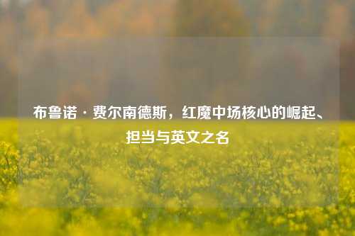 布鲁诺·费尔南德斯,红魔中场核心的崛起、担当与英文之名