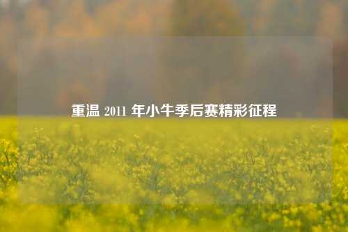 重温 2011 年小牛季后赛精彩征程