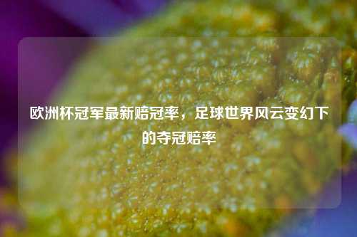 欧洲杯冠军最新赔冠率,足球世界风云变幻下的夺冠赔率
