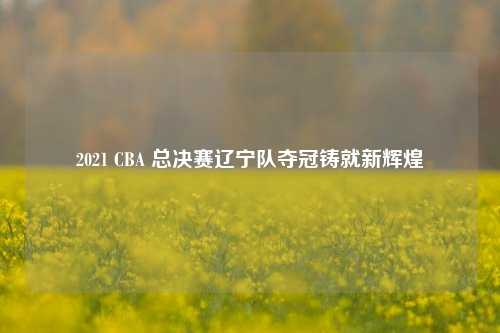2021 CBA 总决赛辽宁队夺冠铸就新辉煌
