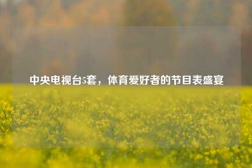 中央电视台5套,体育爱好者的节目表盛宴