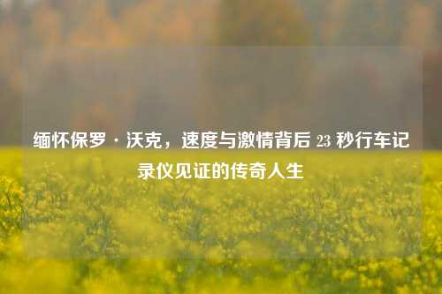 缅怀保罗·沃克,速度与 背后 23 秒行车记录仪见证的传奇人生