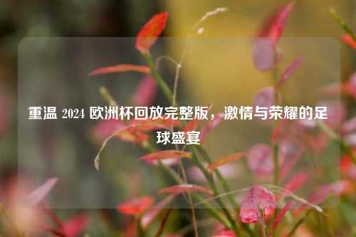 重温 2024 欧洲杯回放完整版, 与荣耀的足球盛宴