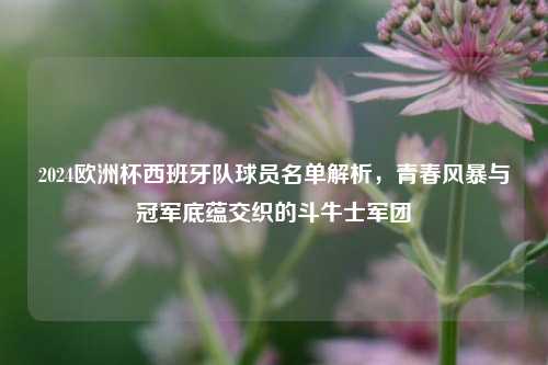 2024欧洲杯西班牙队球员名单解析,青春风暴与冠军底蕴交织的斗牛士军团