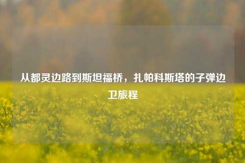 从都灵边路到斯坦福桥,扎帕科斯塔的子弹边卫旅程