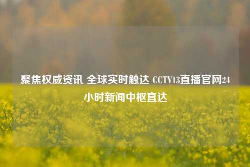 聚焦权威资讯 全球实时触达 CCTV13直播官网24小时新闻中枢直达