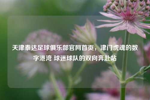 天津泰达足球俱乐部官网首页,津门虎魂的数字港湾 球迷球队的双向奔赴站