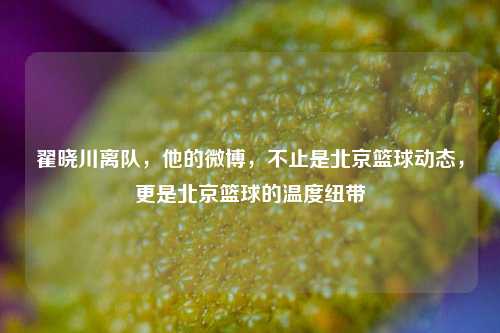 翟晓川离队,他的微博,不止是北京篮球动态,更是北京篮球的温度纽带