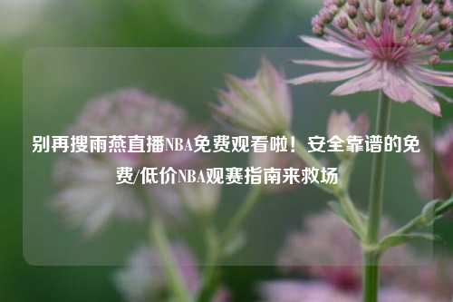 别再搜雨燕直播NBA免费观看啦!安全靠谱的免费/低价NBA观赛指南来救场