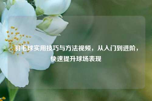 羽毛球实用技巧与 视频,从入门到进阶,快速提升球场表现