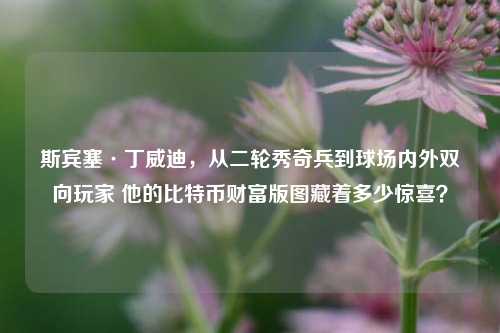 斯宾塞·丁威迪,从二轮秀奇兵到球场内外双向玩家 他的比特币财富版图藏着多少惊喜?
