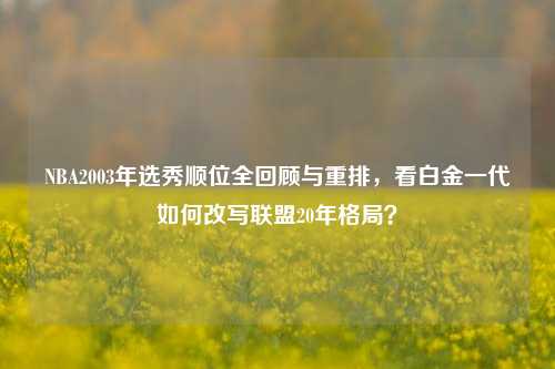 NBA2003年选秀顺位全回顾与重排,看白金一代如何改写联盟20年格局?