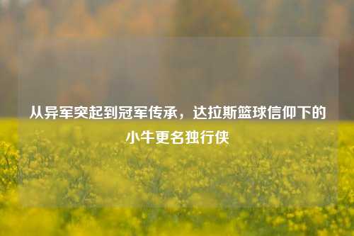 从异军突起到冠军传承,达拉斯篮球信仰下的小牛更名独行侠