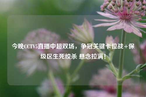 今晚CCTV5直播中超双场,争冠关键卡位战+保级区生死绞杀 悬念拉满!