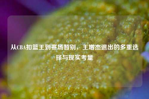 从CBA扣篮王到赛场暂别,王增杰退出的多重选择与现实考量