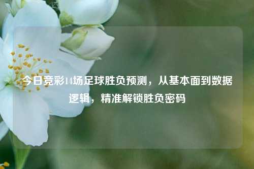 今日竞彩14场足球胜负预测,从基本面到数据逻辑,精准解锁胜负密码