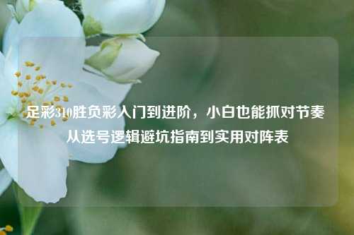 足彩310胜负彩入门到进阶,小白也能抓对节奏 从选号逻辑避坑指南到实用对阵表